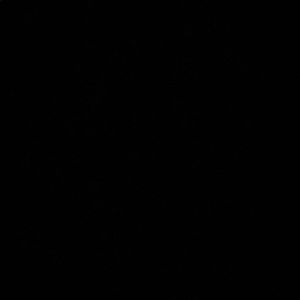 Meet your Posher, Brynn